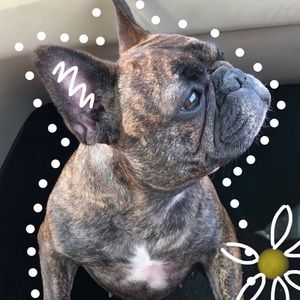 Meet your Posher, Ruby